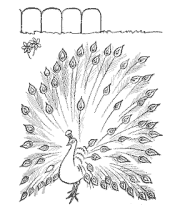 bird coloring pages