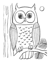 animal coloring pages