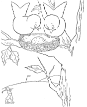 bird coloring page