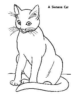 cats coloring pages