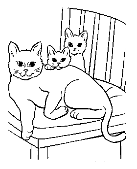 cat coloring page