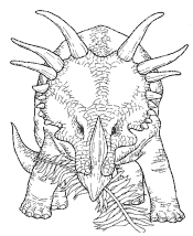 animal coloring pages