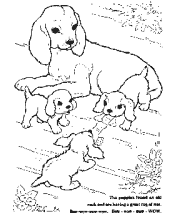 animal coloring pages