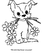 dog coloring pages