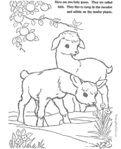 farm animal coloring pages