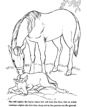 farm coloring pages