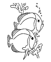 fish coloring pages