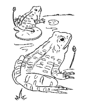 frog coloring pages