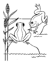 frogs coloring page
