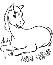 horse coloring pages