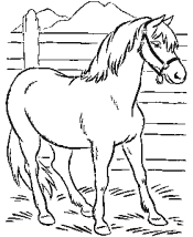 animal coloring pages