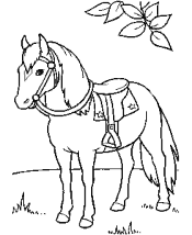 horses coloring pages