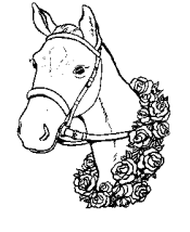 horse coloring page