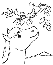 horses coloring page