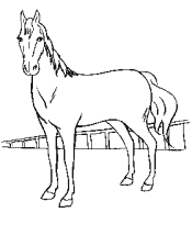 horse coloring page