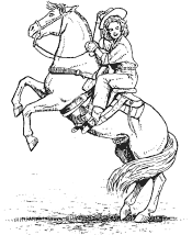horses coloring pages