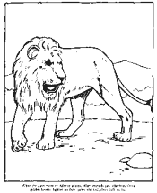 zoo coloring pages