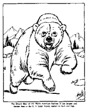 zoo coloring page