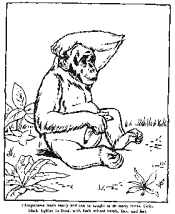 zoo coloring page