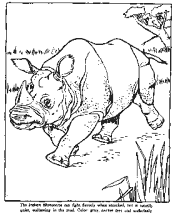zoo coloring page