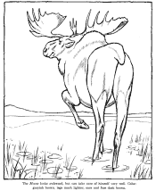 zoo coloring page
