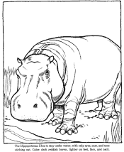 zoo coloring pages
