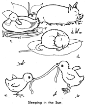 little red hen coloring page