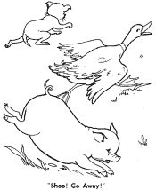Little Red Hen Fairy Tale