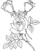 valentine flowers coloring page