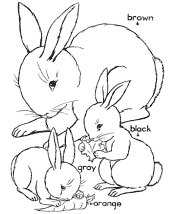 sight word worksheet coloring pages