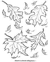 fall coloring page
