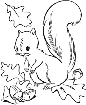 fall coloring pages