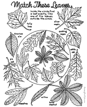 fall coloring pages