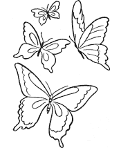 butterfly coloring pages