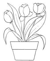 flower coloring pages