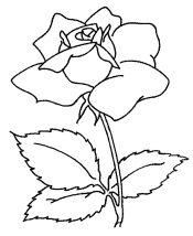flower coloring page
