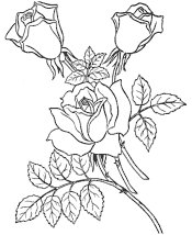 flower coloring pages