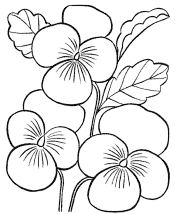 flower coloring page
