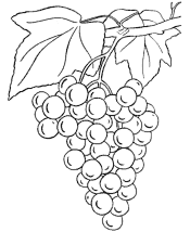 coloring pages of food