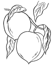 food coloring pages