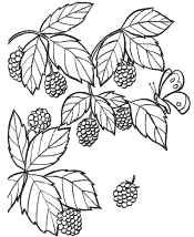 food coloring pages