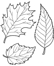 tree and leaf coloring pages