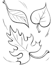 tree and leaf coloring pages