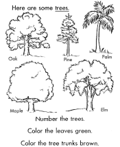 tree and leaf coloring page