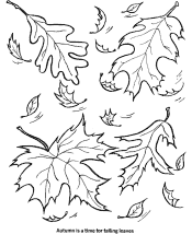 tree and leaf coloring pages