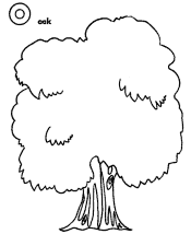 tree and leaf coloring page