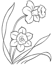 spring coloring page