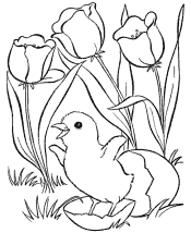 spring coloring page