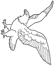 eagle coloring page