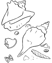 beach coloring pages